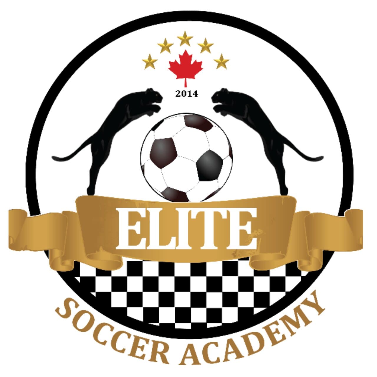 BRAMPTON ELITE